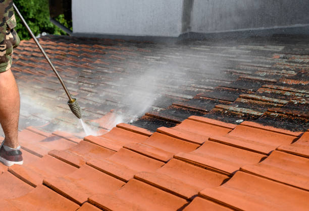 Best Affordable Pressure Washing  in Haverford College, PA